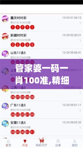 管家婆一码一肖100准,精细设计计划_M版10.883