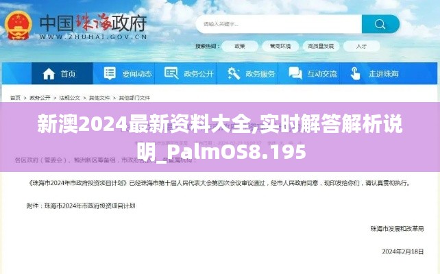 新澳2024最新资料大全,实时解答解析说明_PalmOS8.195