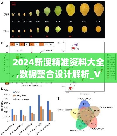 2024新澳精准资料大全,数据整合设计解析_V版9.237