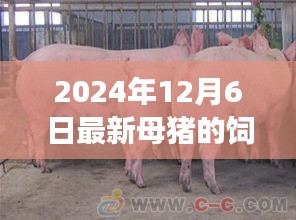 温馨农场故事，探索母猪饲料配方的新篇章，2024年最新指南