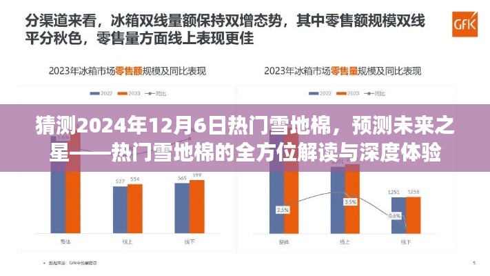 未来之星预测，热门雪地棉全方位解读与深度体验展望（2024年12月6日）