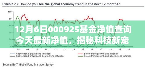 智能基金净值查询系统体验报告，揭秘科技新宠，掌握今日最新净值动态——关于000925基金体验报告