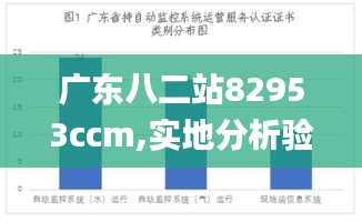 广东八二站82953ccm,实地分析验证数据_尊贵款9.649