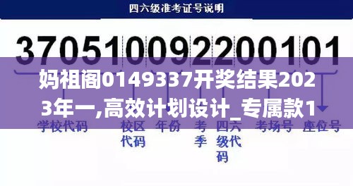 妈祖阁0149337开奖结果2023年一,高效计划设计_专属款10.218