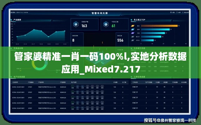 管家婆精准一肖一码100%l,实地分析数据应用_Mixed7.217