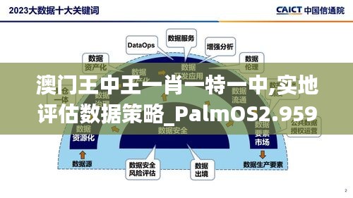 澳门王中王一肖一特一中,实地评估数据策略_PalmOS2.959