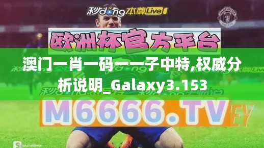 澳门一肖一码一一子中特,权威分析说明_Galaxy3.153