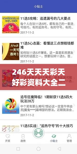 246天天天彩天好彩资料大全二四六之一,精细策略分析_标准版8.681