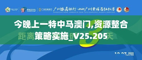 今晚上一特中马澳门,资源整合策略实施_V25.205