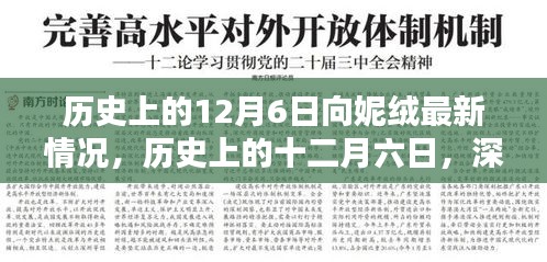 历史上的12月6日，向妮绒最新情况深度解析全攻略