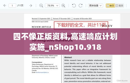 四不像正版资料,高速响应计划实施_nShop10.918