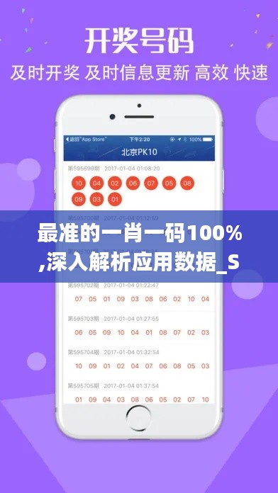 最准的一肖一码100%,深入解析应用数据_S15.632