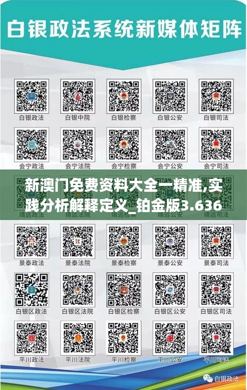 新澳门免费资料大全一精准,实践分析解释定义_铂金版3.636