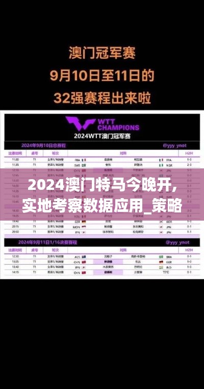 2024澳门特马今晚开,实地考察数据应用_策略版3.697