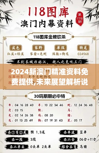 2024新澳门精准资料免费提供,未来展望解析说明_理财版8.267