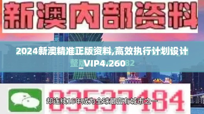 2024新澳精准正版资料,高效执行计划设计_VIP4.260