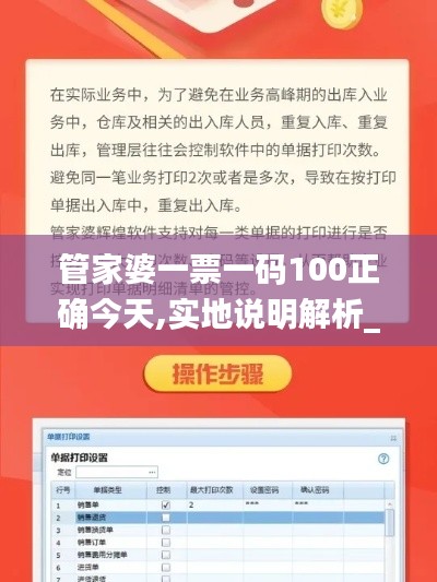 管家婆一票一码100正确今天,实地说明解析_手游版13.274