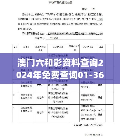 澳门六和彩资料查询2024年免费查询01-36,前沿评估说明_3DM1.196