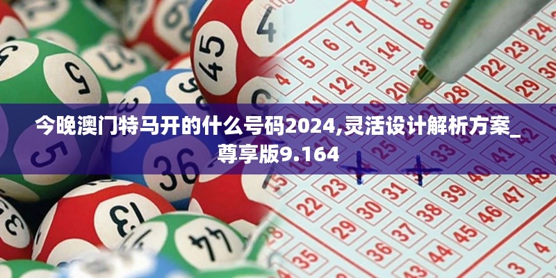 今晚澳门特马开的什么号码2024,灵活设计解析方案_尊享版9.164