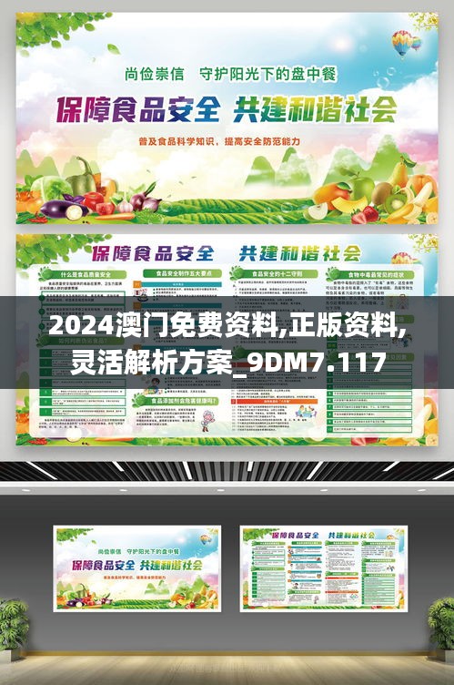 2024澳门免费资料,正版资料,灵活解析方案_9DM7.117