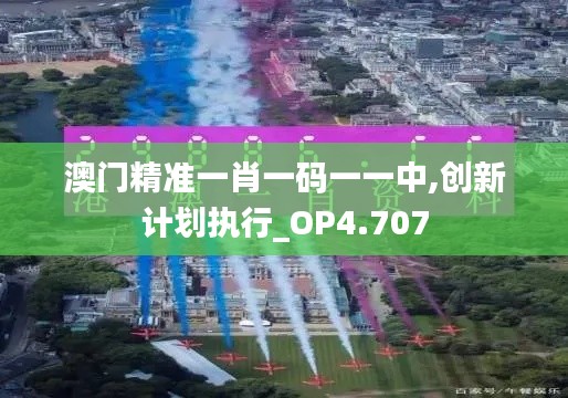 澳门精准一肖一码一一中,创新计划执行_OP4.707