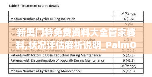 新奥门特免费资料大全管家婆料,状况评估解析说明_PalmOS10.891