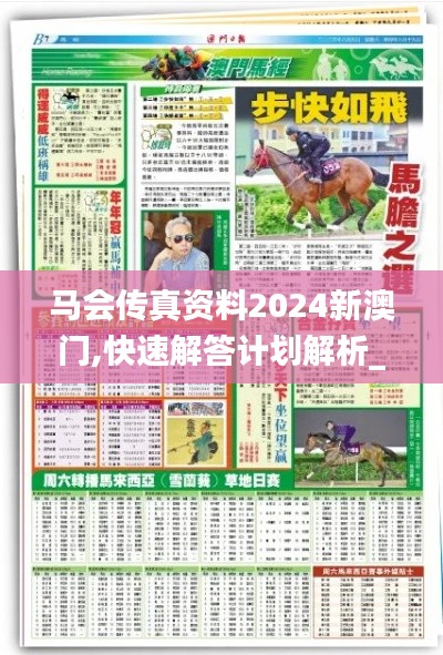 马会传真资料2024新澳门,快速解答计划解析_旗舰款2.741