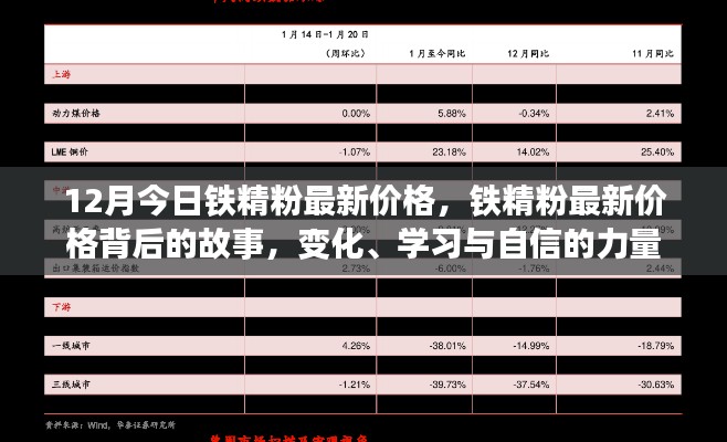 铁精粉最新价格