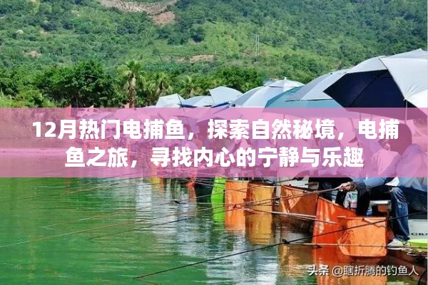 电捕鱼之旅，探索自然秘境，寻找宁静与乐趣的十二月之旅