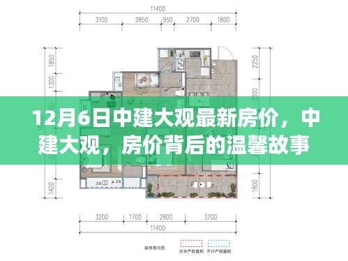 中建大观最新房价揭秘，家的纽带与温馨故事背后的情感连结（12月6日）