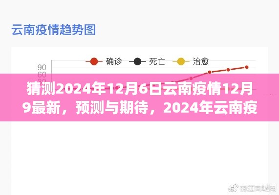 2024年12月6日云南疫情最新动态分析与预测期待