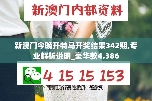 新澳门今晚开特马开奖结果342期,专业解析说明_豪华款4.386