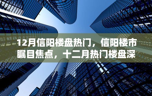 信阳楼市瞩目焦点，十二月热门楼盘深度解析与楼盘热门趋势探讨