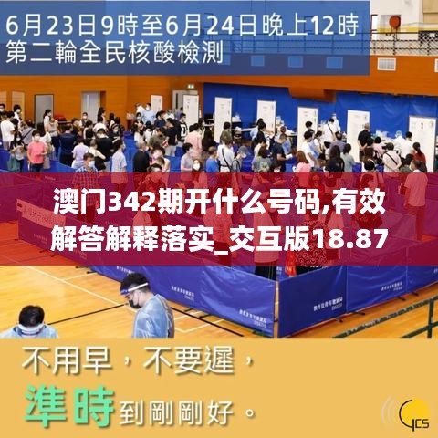 澳门342期开什么号码,有效解答解释落实_交互版18.873