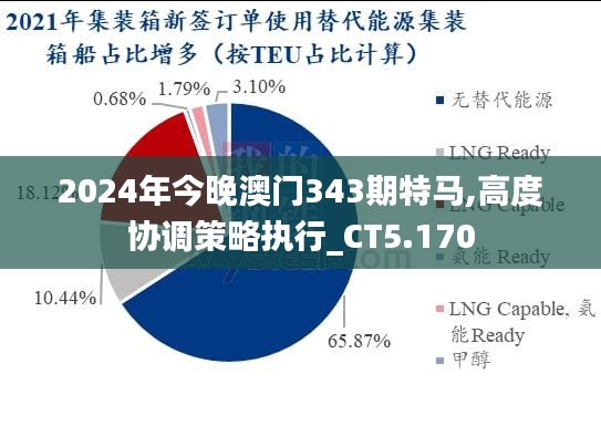 2024年今晚澳门343期特马,高度协调策略执行_CT5.170