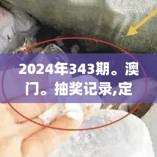 2024年343期。澳门。抽奖记录,定量分析解释定义_网页版8.306