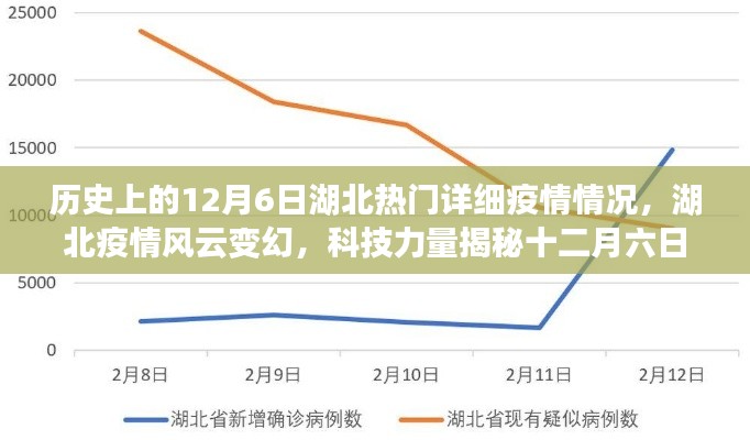 湖北疫情风云变幻，科技力量揭秘十二月六日疫情真相——智能追踪时代的抗疫先锋之路