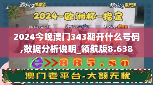 2024今晚澳门343期开什么号码,数据分析说明_领航版8.638