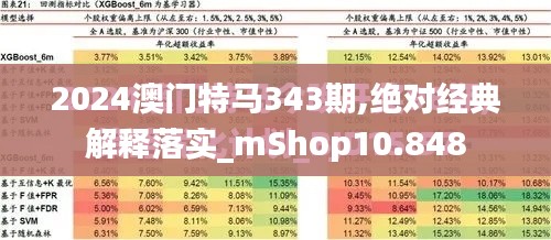 2024澳门特马343期,绝对经典解释落实_mShop10.848