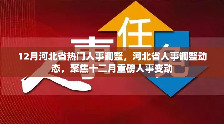 12月河北省人事大调整，聚焦重磅人事变动动态