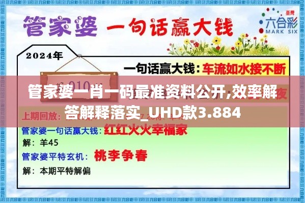 管家婆一肖一码最准资料公开,效率解答解释落实_UHD款3.884