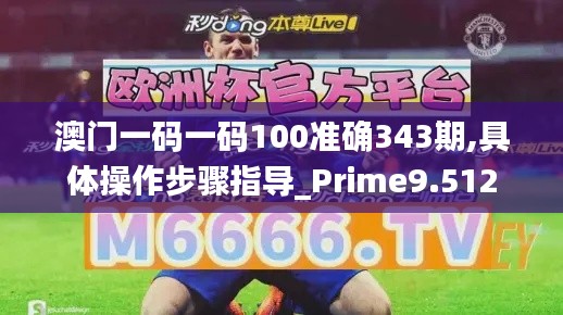 澳门一码一码100准确343期,具体操作步骤指导_Prime9.512