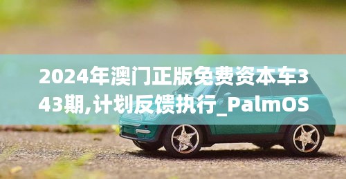 2024年澳门正版免费资本车343期,计划反馈执行_PalmOS16.983