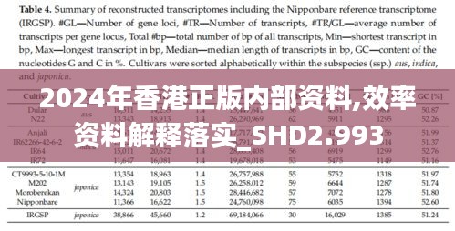 2024年香港正版内部资料,效率资料解释落实_SHD2.993