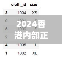 2024香港内部正版大全,统计分析解释定义_2D7.636