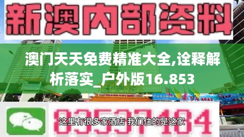 澳门天天免费精准大全,诠释解析落实_户外版16.853