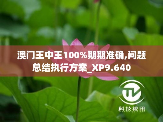 澳门王中王100%期期准确,问题总结执行方案_XP9.640