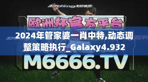 2024年管家婆一肖中特,动态调整策略执行_Galaxy4.932