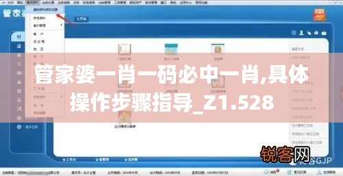 管家婆一肖一码必中一肖,具体操作步骤指导_Z1.528