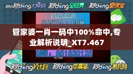 管家婆一肖一码中100%命中,专业解析说明_XT7.467